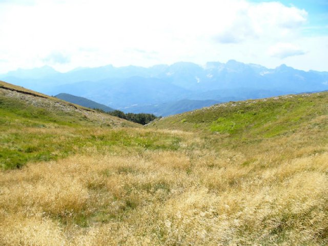 Le Apuane viste da Pradarena