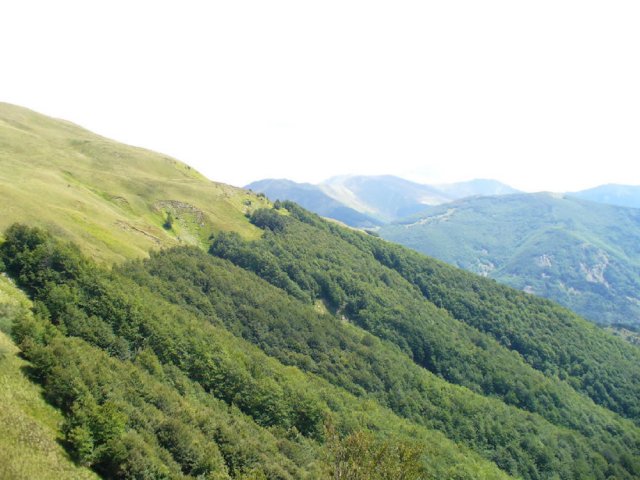 da Pradarena verso Romecchio, il percorso CAI 00